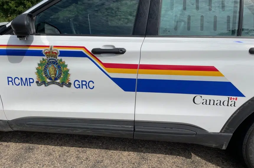 Police investigate attempted abduction near Meadow Lake