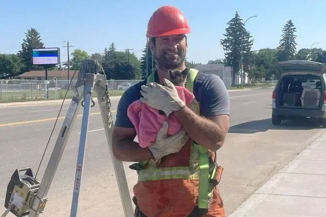 City worker rescues kitten from storm drain in Prince Albert