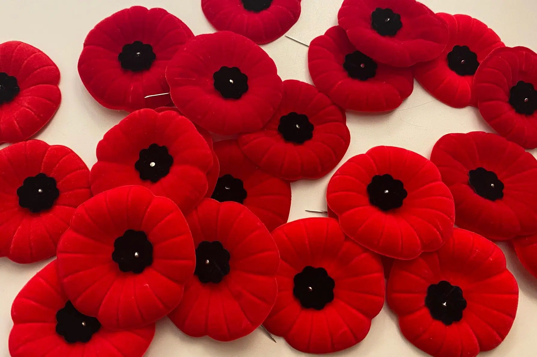 Royal Canadian Legion's Poppy Campaign kicks off in Saskatchewan