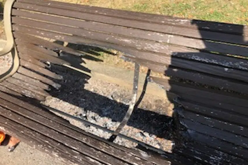 Regina man says torched bench 'senseless vandalism' that taints public park