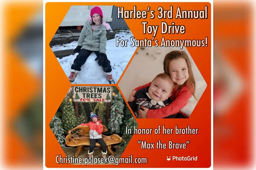 Young girl honours brother by hosting toy drive for Santas Anonymous
