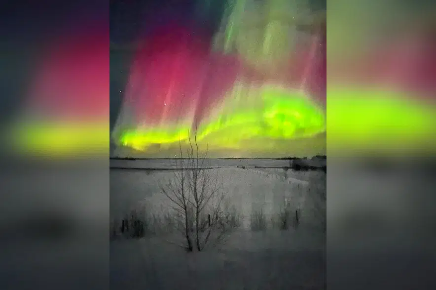 'I was outside yelling at the sky:' Northern lights dance over Saskatchewan