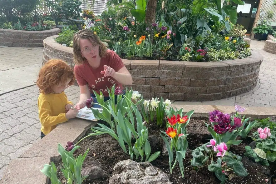 'It's inviting:' Families getting dose of spring at Regina Floral Conservatory