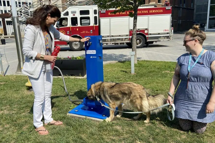 Dog approved: New water drinking station installed downtown