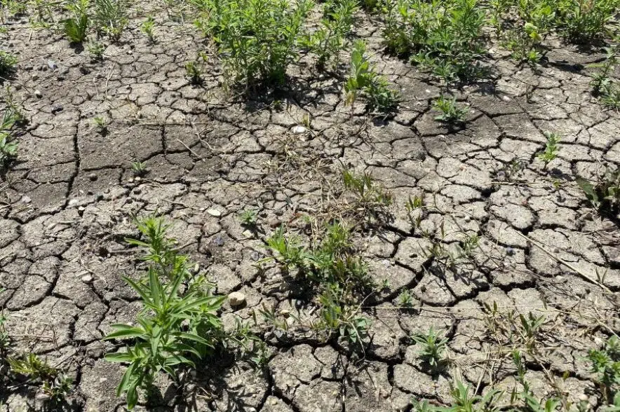 Water Security Agency steps up to help drought-stricken farmers