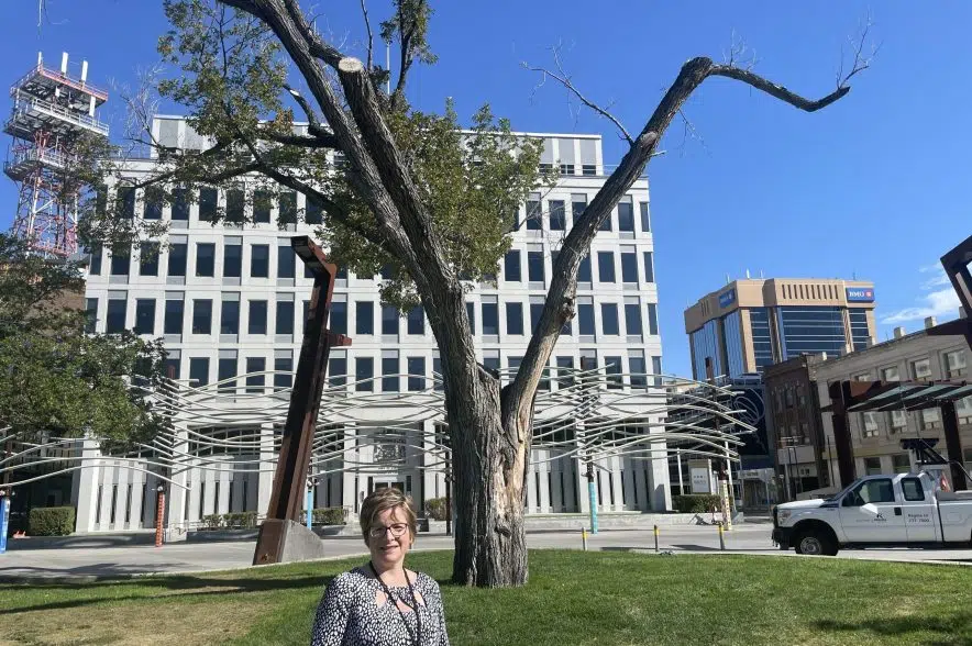 123-year-old American elm tree to come down in Victoria Park