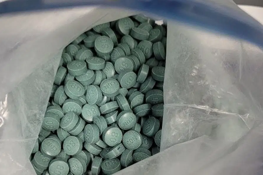Regina police seized more than 10 kg of fentanyl in first seven months of 2023