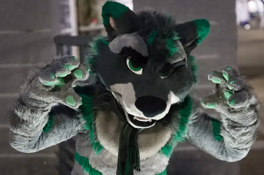 School division says students can't dress like 'furries,' use litter boxes