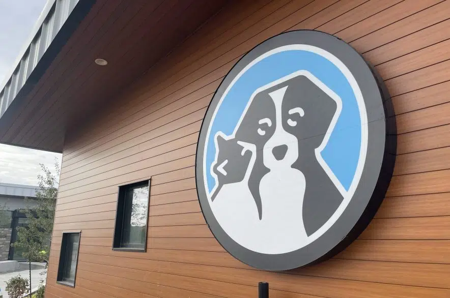 'Game changer:' Regina Humane Society opens doors at new facility