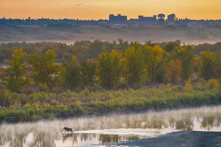 Picture this: ExploreSask photo contest reveals winners