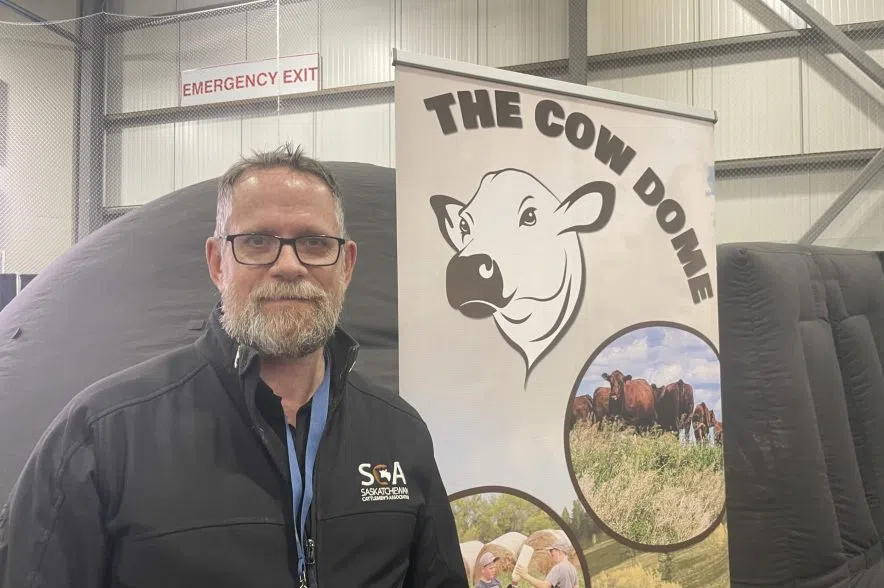 Agribition's Cow Dome takes kids inside Sask. cattle operations