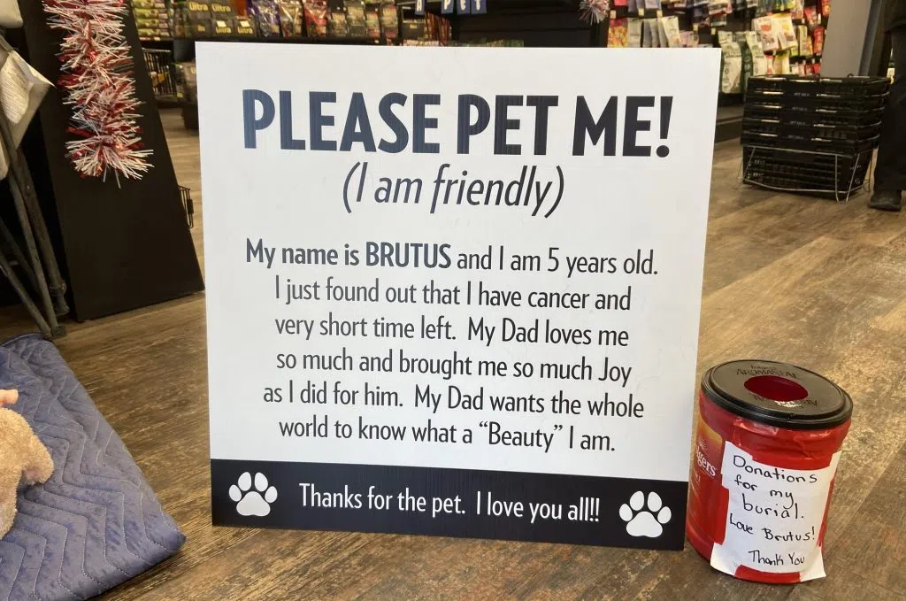 Brutus the dog's sign at Pet Valu asking people for a cuddle.
