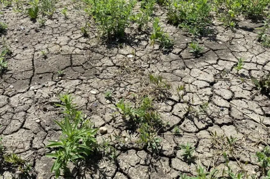 Dry weather and a lack of moisture could cause issues during seeding
