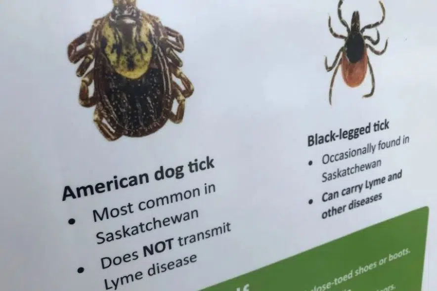 Saskatchewan health ministry offers tips on how to prevent tick bites