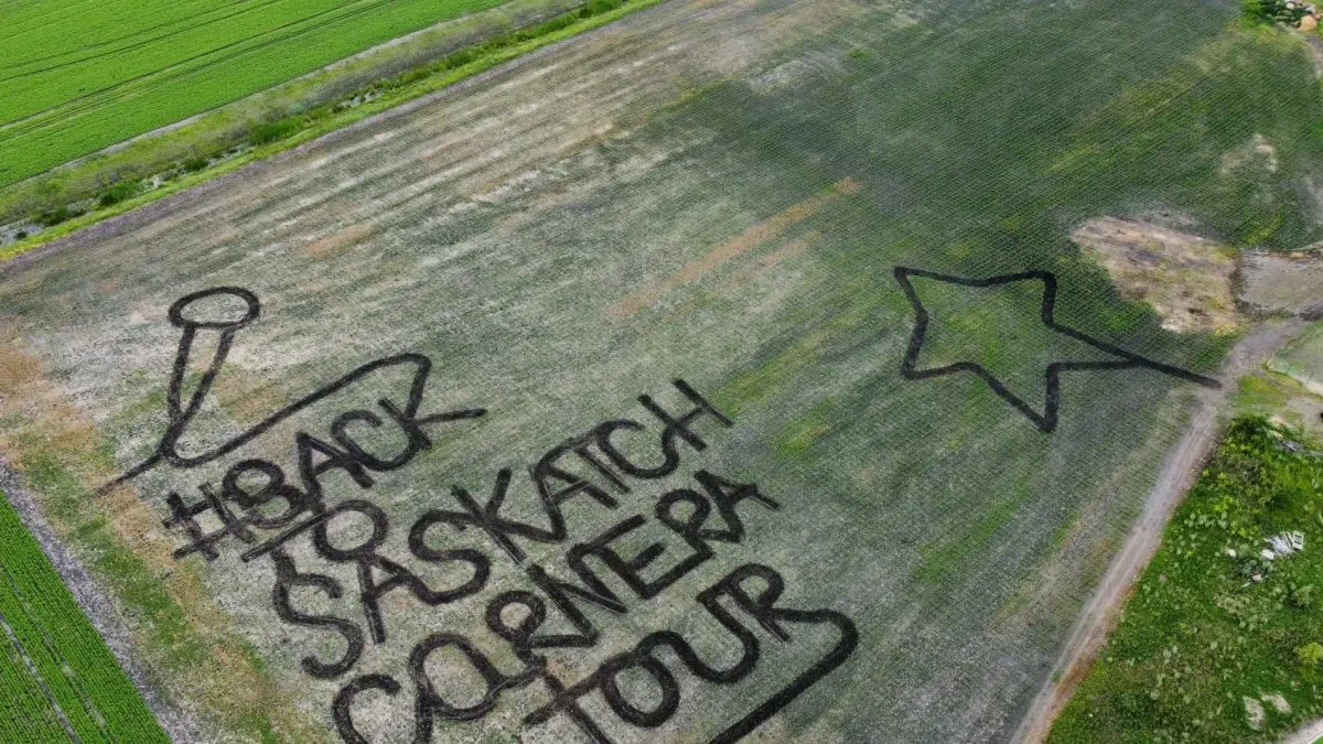 Local business builds corn maze for Taylor Swift in hopes the singer will return to Sask.