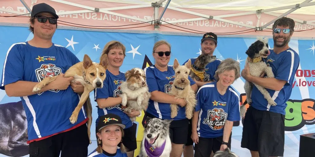 It's a dog's life: SuperDogs keep their cool in the heat at Queen