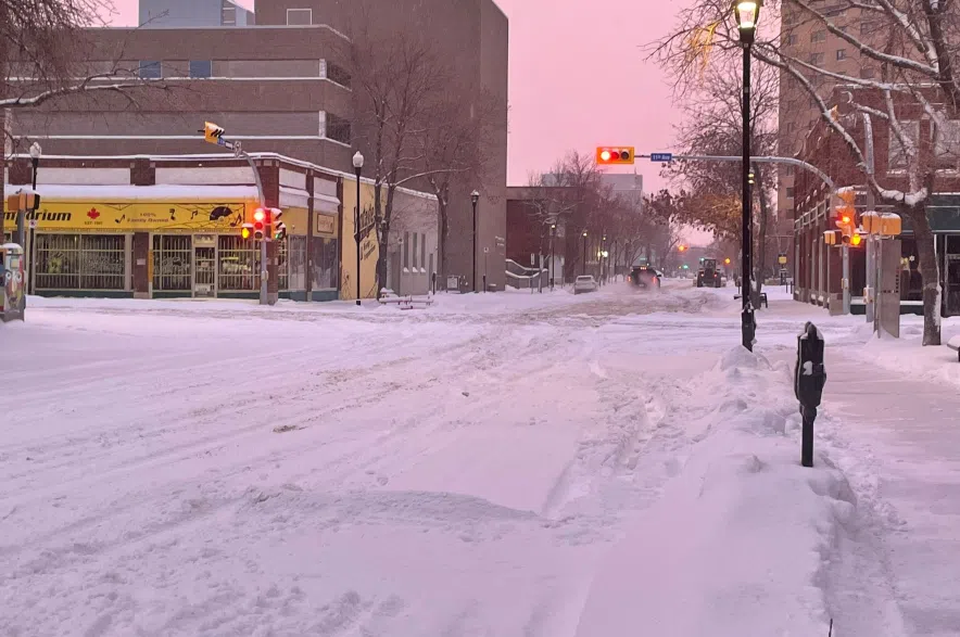 Snow in Regina on Nov. 24, 2024