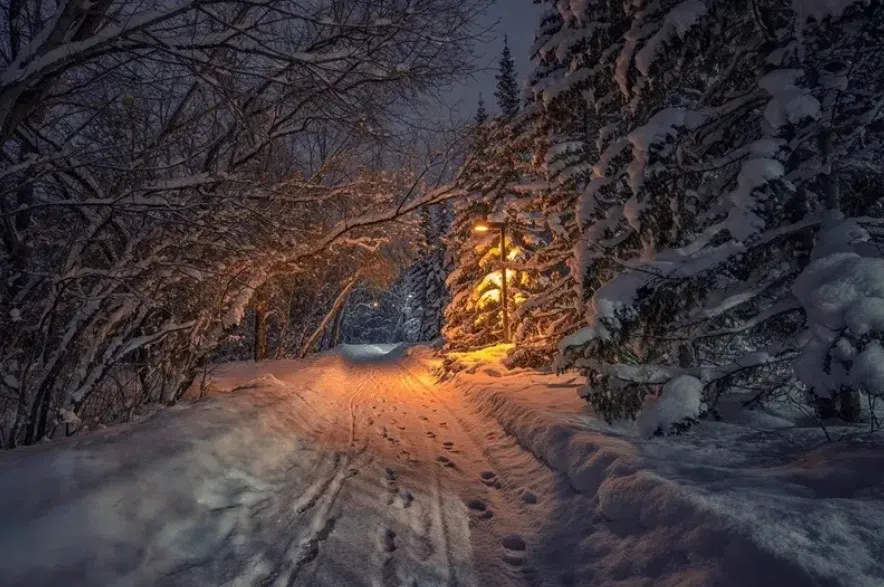 Snowy winter path