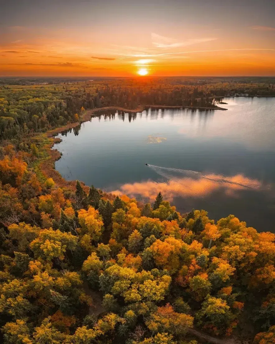 Sunset over autumn woods