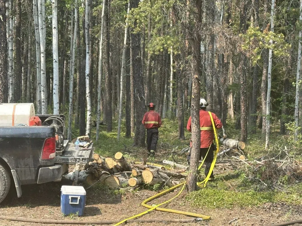The Premier suggested anyone with wildland fire training contact their nearest fire base, as more resources are needed. (Derek Cornet/larongeNOW)