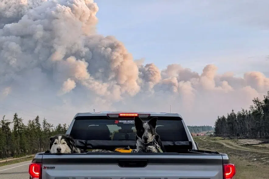A long line of cars evacuate the La Ronge area on June 2, 2025, including two pups in the back of a truck.