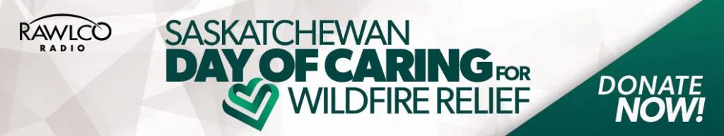 Wildfire_Day of Caring Homepage Banner(1)