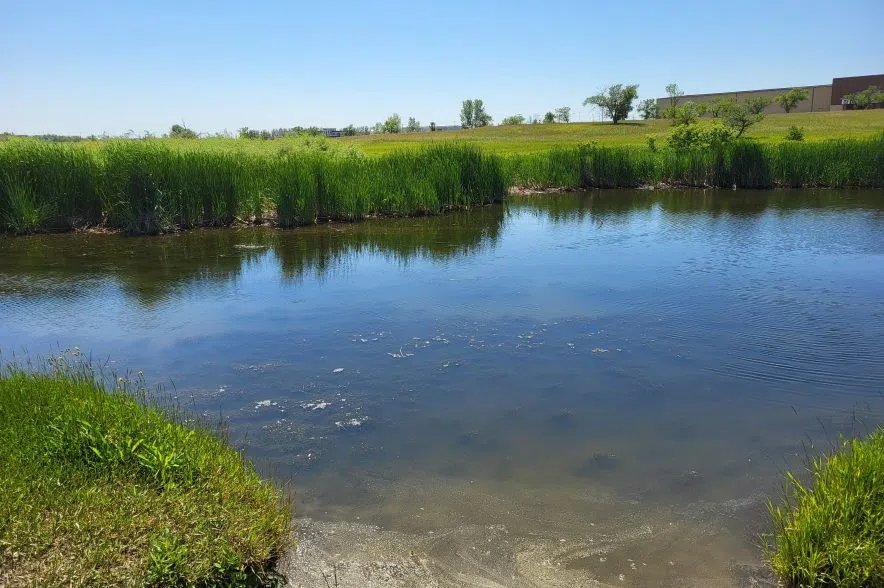 Cathy Lauritsen Memorial Off-Leash Dog Park.