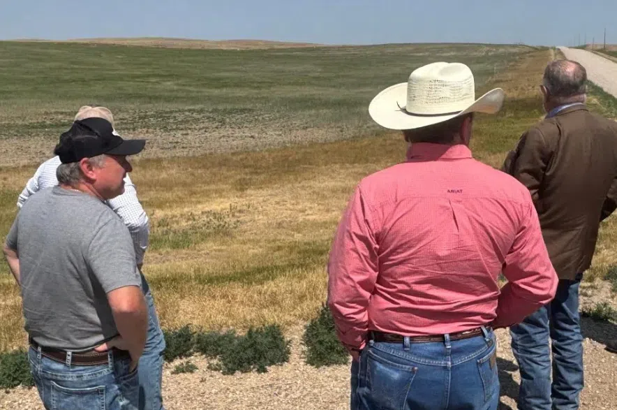 Group of men, including farmers and officials, stand on a gravel road looking over dry prairie fields under a blue sky near Maple Creek, Saskatchewan