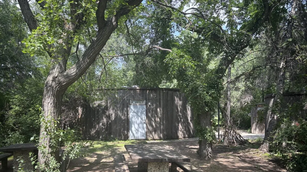 Two more trees removed as Dutch elm disease spreads in Regina’s Wascana Centre