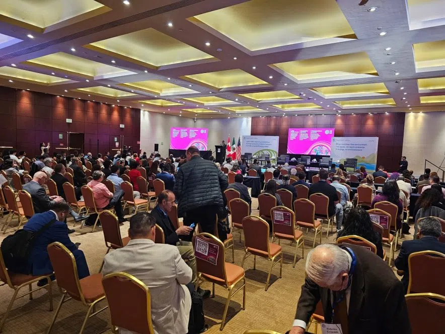 Large crowd seated in rows during a public forum with pink banners and a large presentation screen
