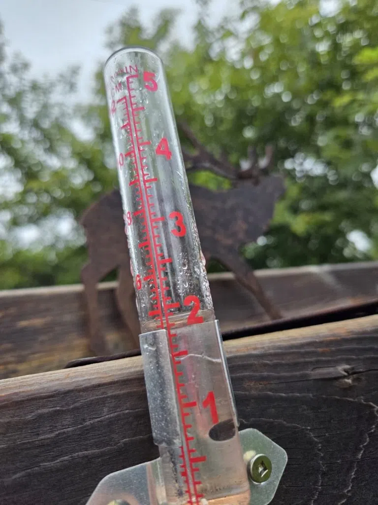 Rain gauge in Saskatoon's Avalon neighborhood following Aug. 8 rainfall. (submitted photo)