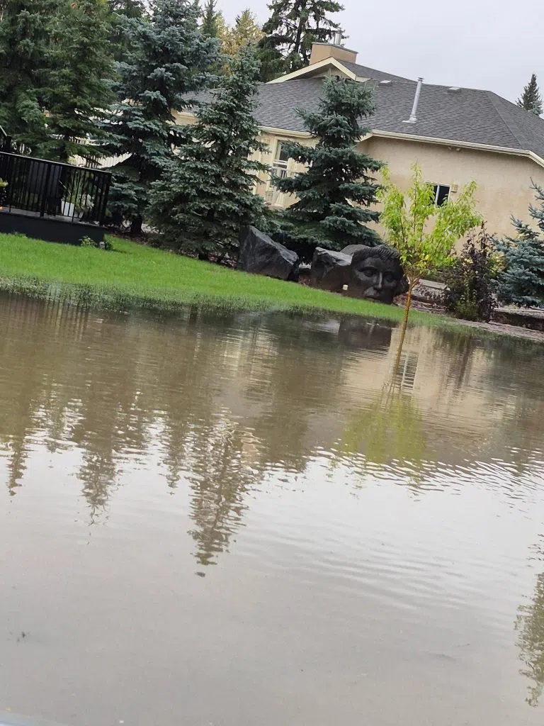Flooded residential yard with standing water reaching a lawn and stone sculpture near evergreen trees.