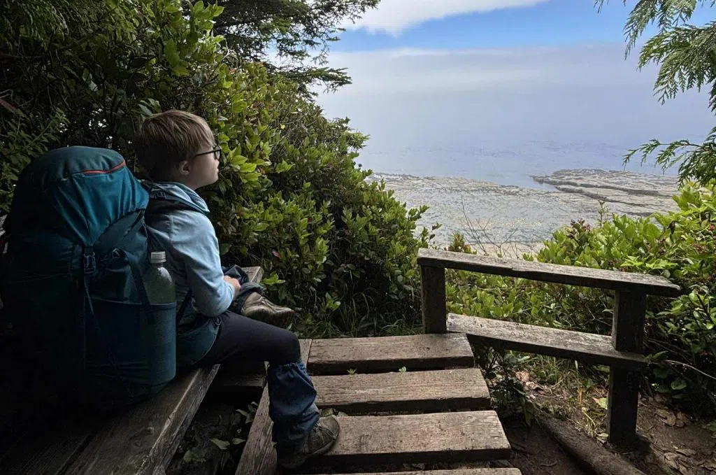 Xavier looks out at the ocean while hiking on Vancouver Island’s West Coast Train in August. (Deidra Cameron/Submitted) 