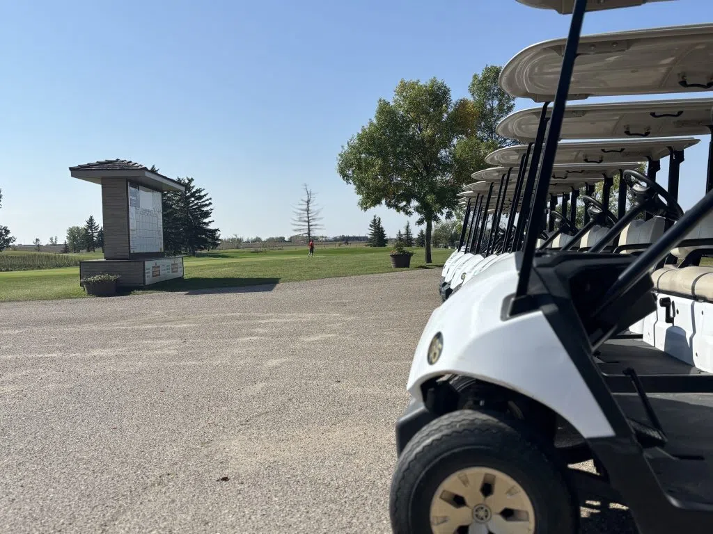 A row of golf carts sits in the sun beside a course sign on one of the final warm weekends of summer.