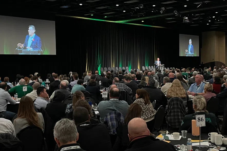 Scott Moe at convention.