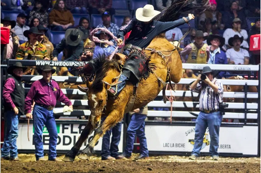 Agribition rodeo bucking horse rider