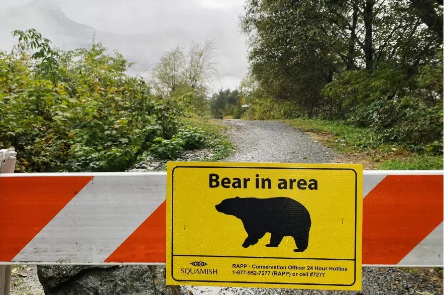 Bear in area sign.