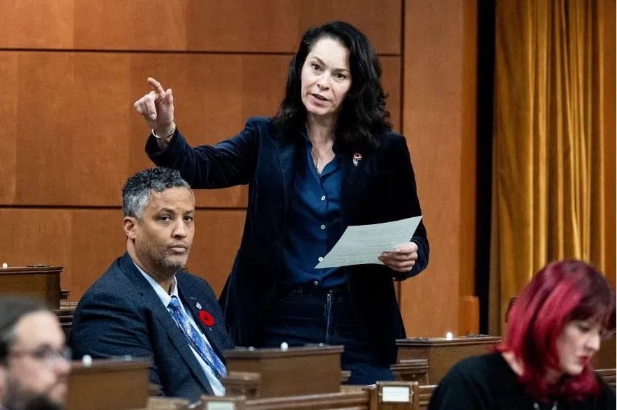 LISTEN: NDP leadership candidate Heather McPherson says party needs to reconnect with Canadians