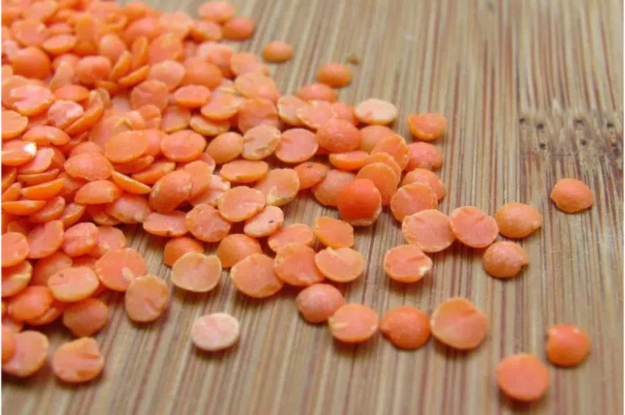 Lentils spread on a table.