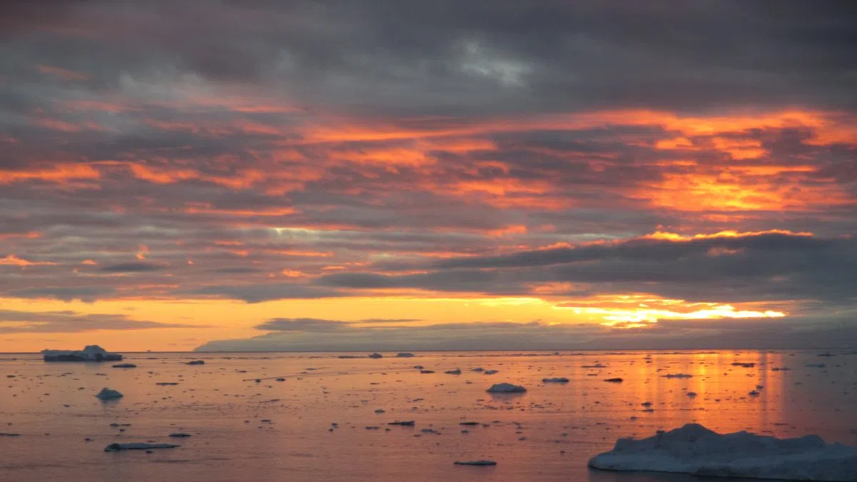 Greenlander living in Sask. says Trump's takeover threats leaves 'deep anxieties'