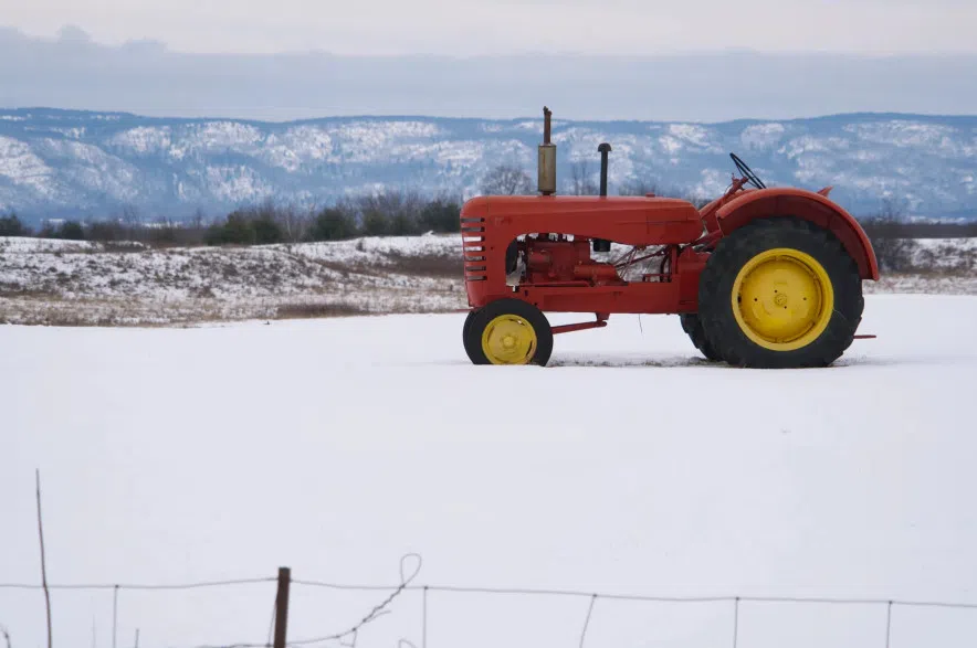 End of canola tariffs cause for optimism, says farm retailer