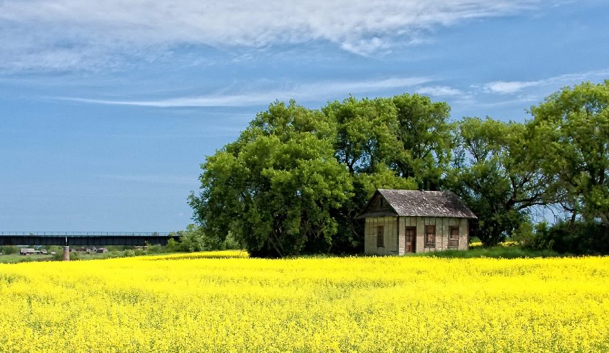 Sask. trade minister defends strategy amid U. S. , China tariff threats