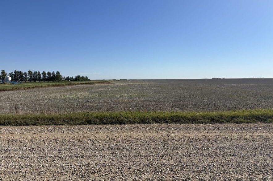A harvested Saskatchewan field stretches toward the horizon under a clear blue sky.