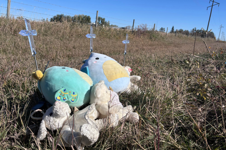 A roadside memorial with stuffed animals and three crosses