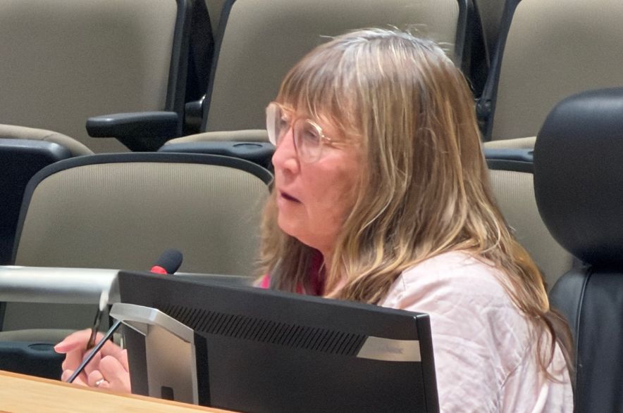 Patricia Elliott of the Get the Lead Out Community Action Group