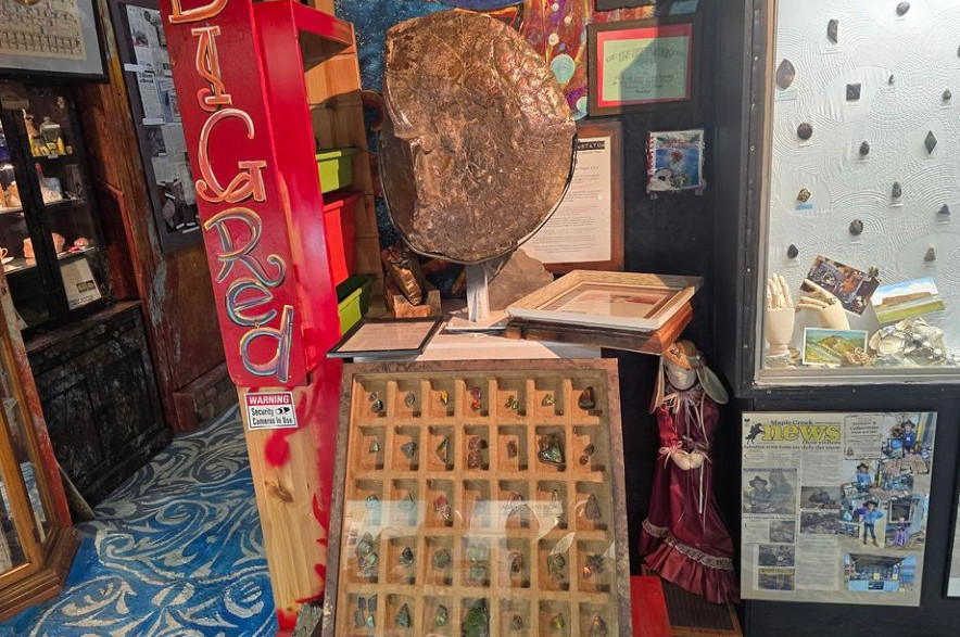 Among the museum's highlights is 'Big Red', a fossil that Reese says is about 65 million years old.
