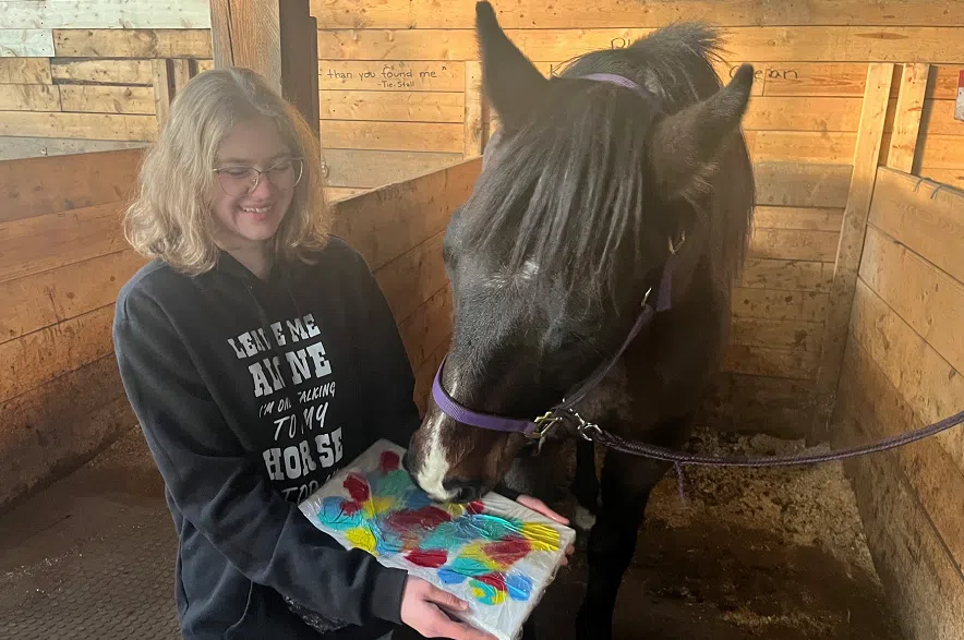Saskatchewan girl teaches horse to create abstract paintings
