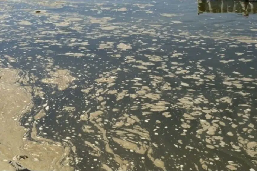 Tests of North Saskatchewan River continue after 2016 spill