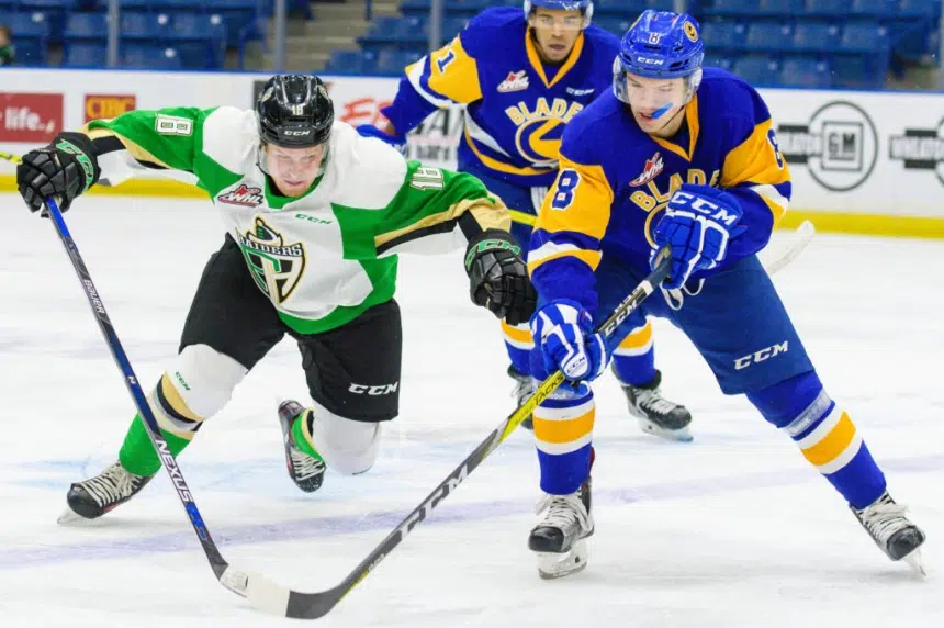 Blades Trade Cameron Hausinger to Red Deer