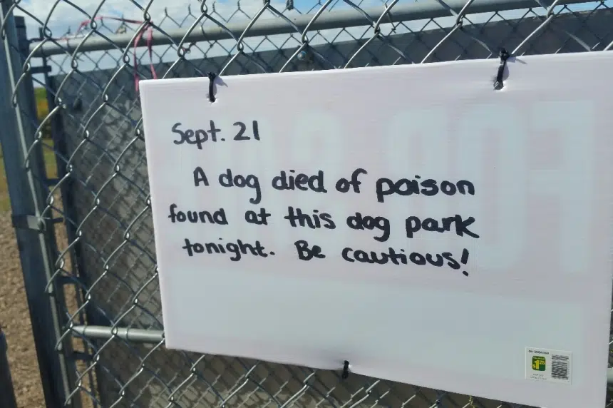 Dog allegedly poisoned in Saskatoon park